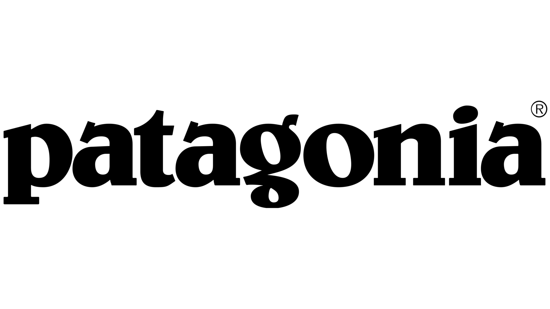 patagonia logo